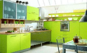 Lime green in a kitchen- Dont do it. Ever.   People like this should have consulted an Interior Designer and now their punishment if to live with this horrendousness 